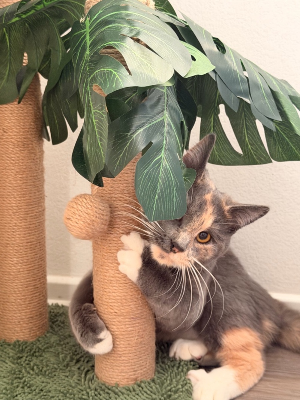 Meet your Posher, MoonsKloset